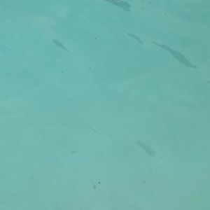 Meet your Posher, Javier